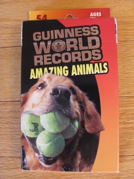 Amazing Animals