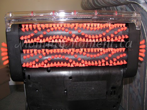 Bissell bristles