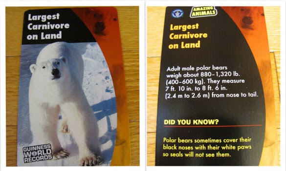 Fun Fact Cards