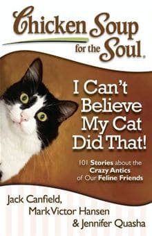 I can't believe my cat did that