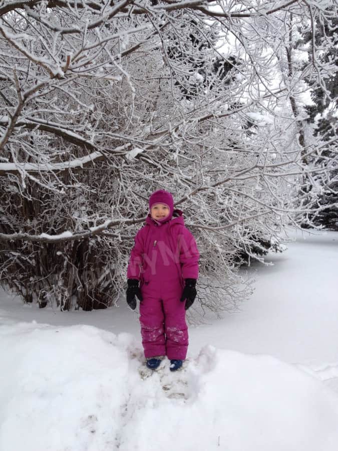winter wonderland