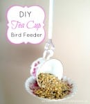 tea cup bird feeder